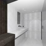 Matthieu VIALA-CARCASSONNE - laminimale